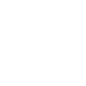 SimPlan_Refresh_Icon-white_EN